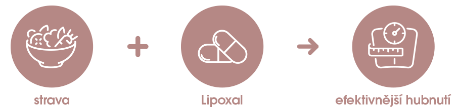 Strava + Lipoxal + efektivnější hubnutí
